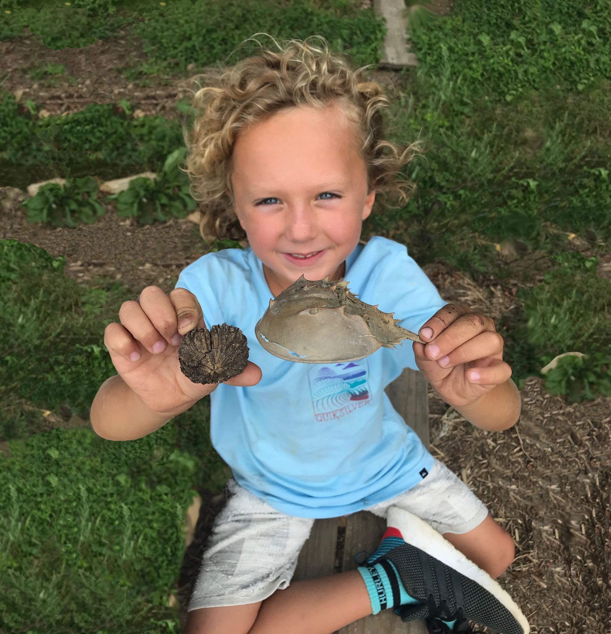 Child Outdoors with Horseshoe Crab Shell